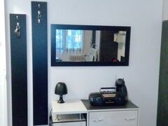 Alexandru Obregia, garsoniera mobilata, utilata, comision standard